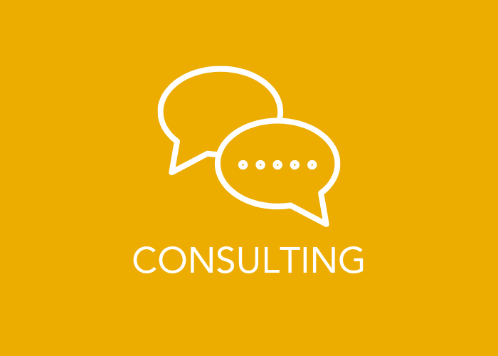 Consulting